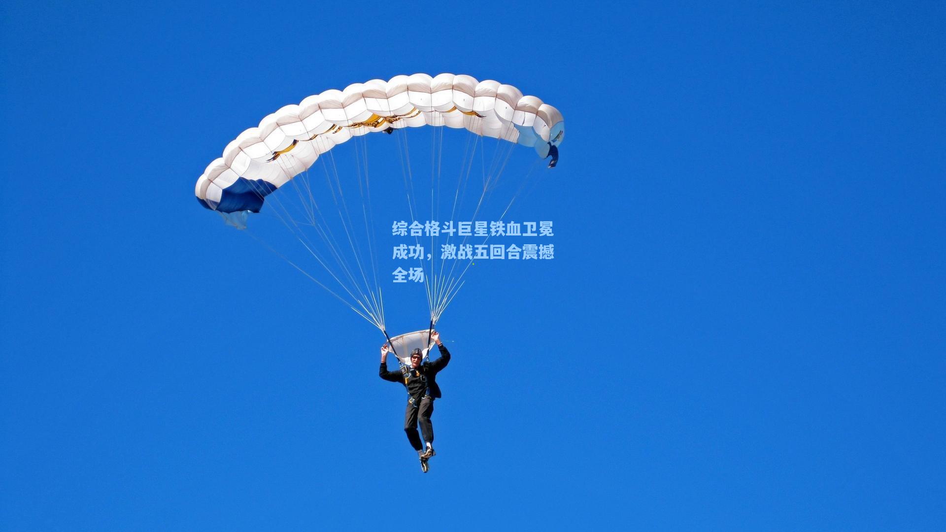 综合格斗巨星铁血卫冕成功，激战五回合震撼全场