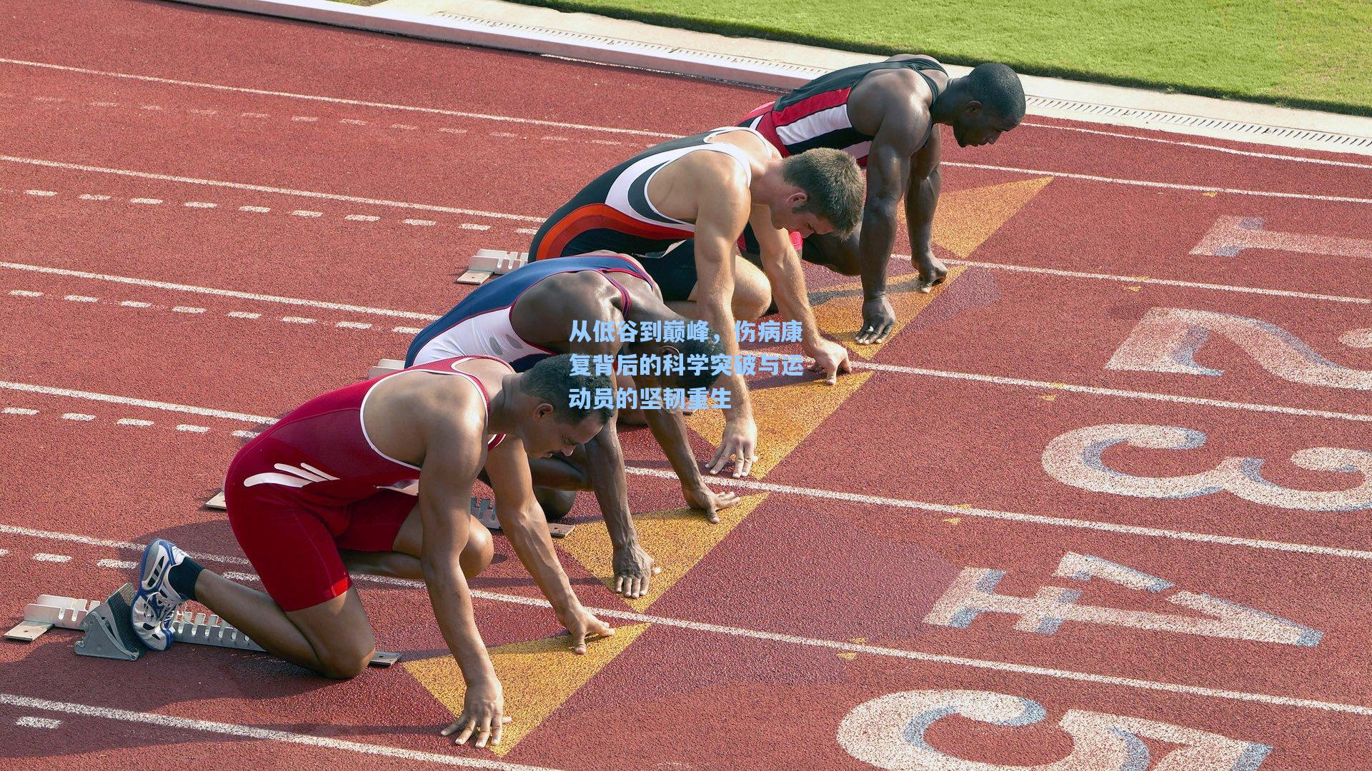 从低谷到巅峰，伤病康复背后的科学突破与运动员的坚韧重生